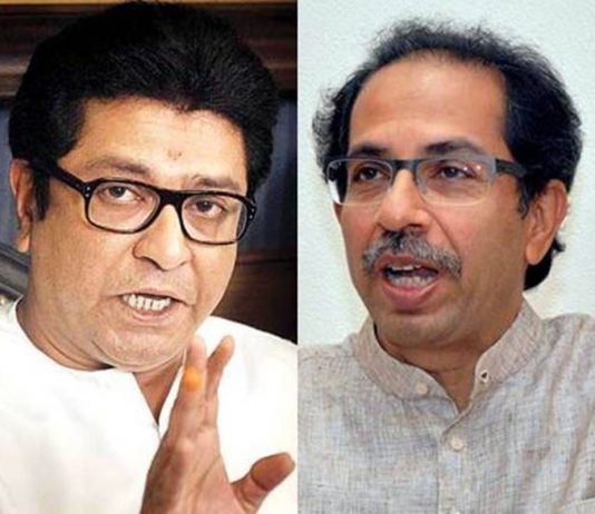 There is no problem in holding elections after census: Raj Thackeray