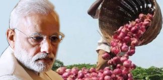 Modi -government-stops-onion-export-farmers-and-swabhimani-shetkari-sanghatana-oppose