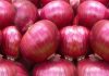 onion-remedies-are-effective-for-fast-relief-from-cold-and-cold-use-onion