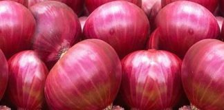 onion-remedies-are-effective-for-fast-relief-from-cold-and-cold-use-onion