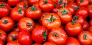 tomato for health benefits