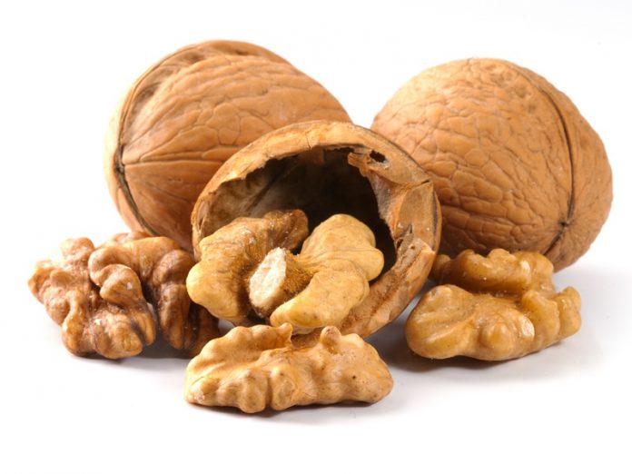 Walnut-Benefits walnut health benefits