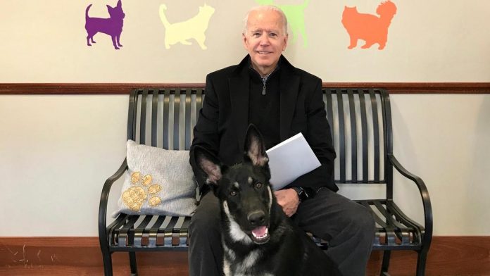 Biden fractures foot while playing with dog,to wear a boot