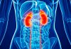 kidney-cancer-types-of-treatment-news-updates