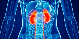 kidney-cancer-types-of-treatment-news-updates