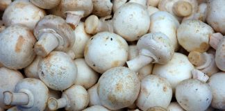 Mushroom Health Benefits for Your Skin, Brain, and Bones