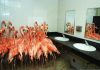 Flamingo in the bathroom, pictures of destruction online!
