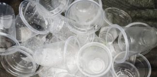 The ban on bags, cups, water bottles, paper bags, straw plates has been lifted
