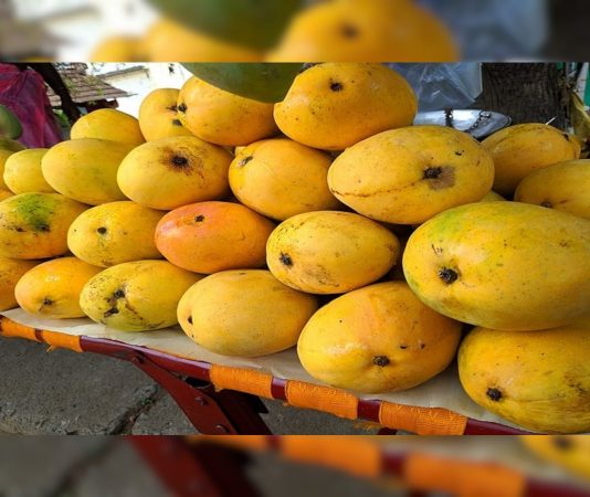 mango-seed-benefits-mango-kernels-are-very-beneficial-can-provide-relief-from-these-10-health-problems-news-update