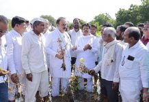 The government has money for the MLAs to be defeated, the Shakti Peeth highway but not for the farmers; Bring a special package from the central government